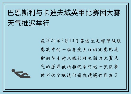 巴恩斯利与卡迪夫城英甲比赛因大雾天气推迟举行